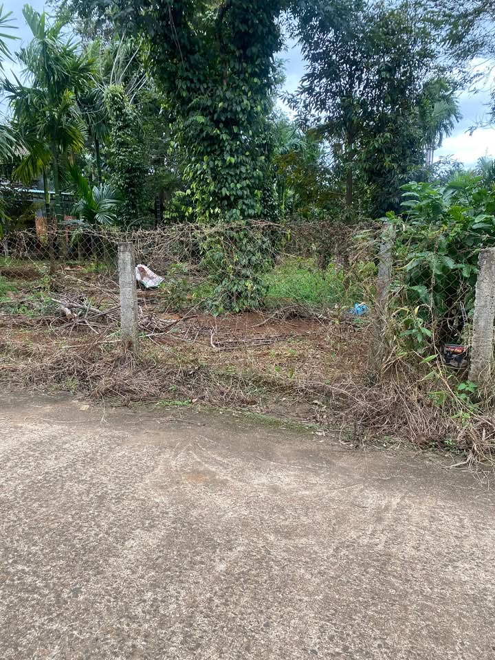 Đất thổ cư 138m² xã Ea Tiêu, Cư Kuin chỉ 830 triệu - Sổ hồng chính chủ!