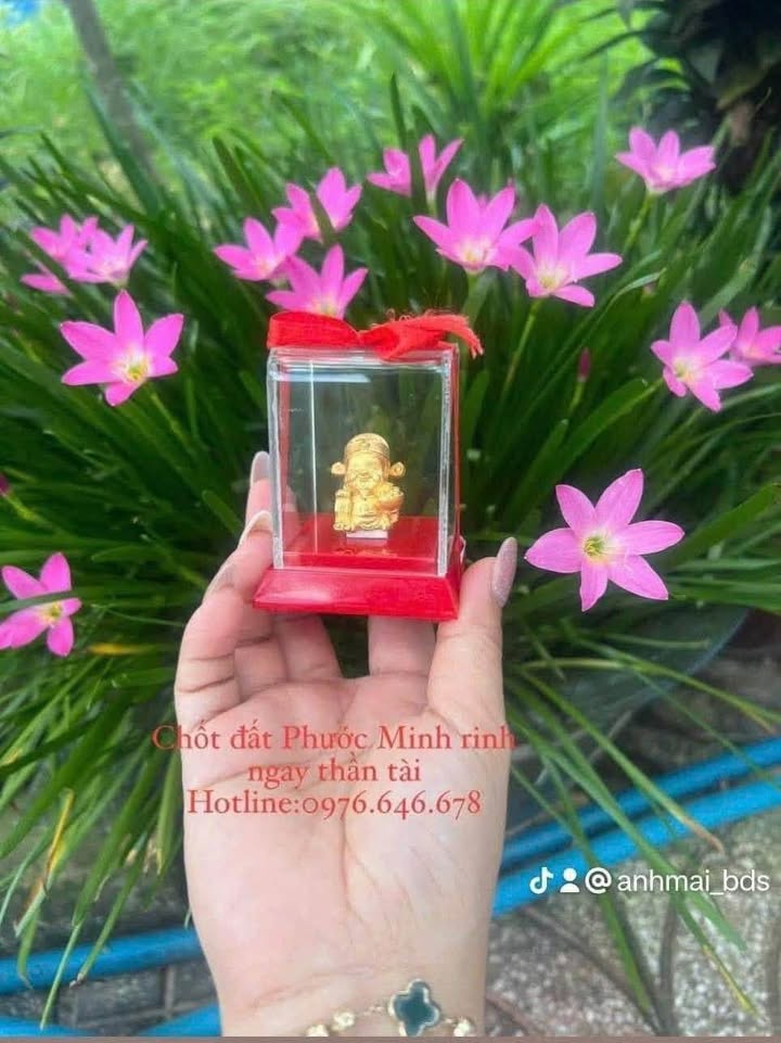 Đất nền Phước Minh Dương Minh Châu 150m² giá 300 triệu - Đầu tư sinh lời ngay!