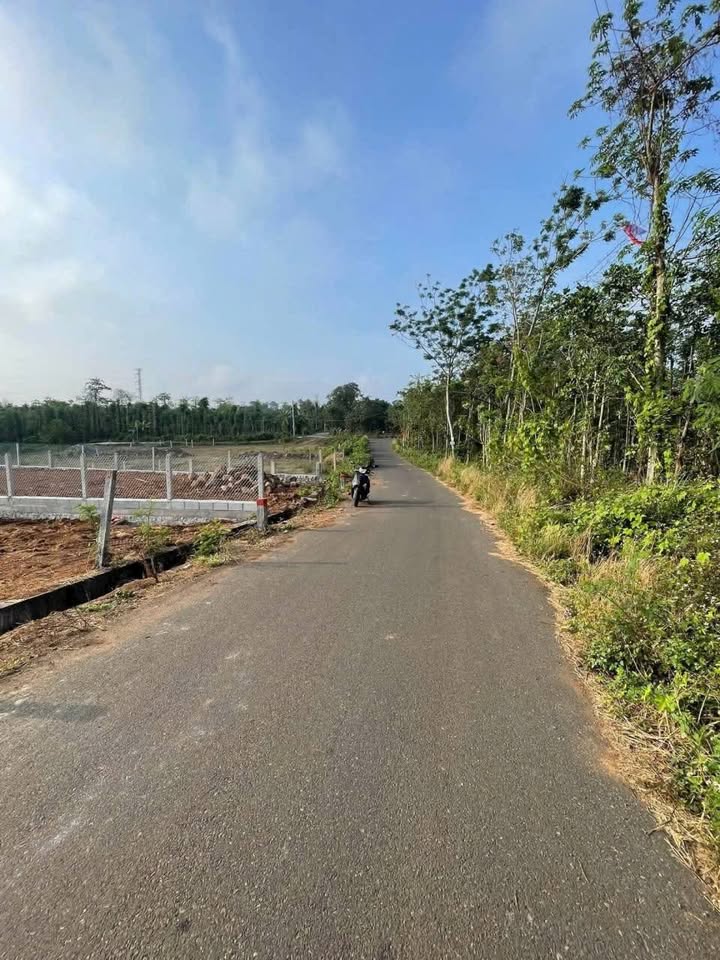 Đất thổ cư Bàu Chinh Châu Đức 3120m² giá 1.15 tỷ - Đường nhựa ô tô né nhau