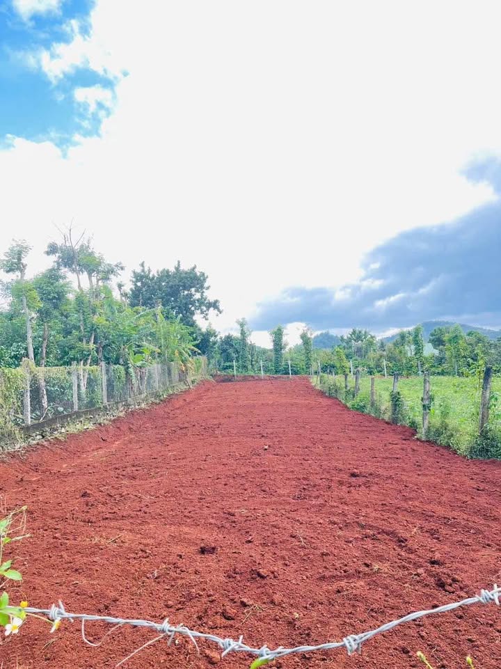 Đất thổ cư Buôn Ma Thuột 520m² giá 1.79 tỷ - Đầu tư sinh lời ngay!