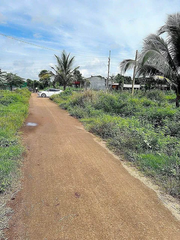 Đất nền Tố Hữu, Thành Nhất, 195m² giá 675 triệu - Cơ hội đầu tư tuyệt vời!