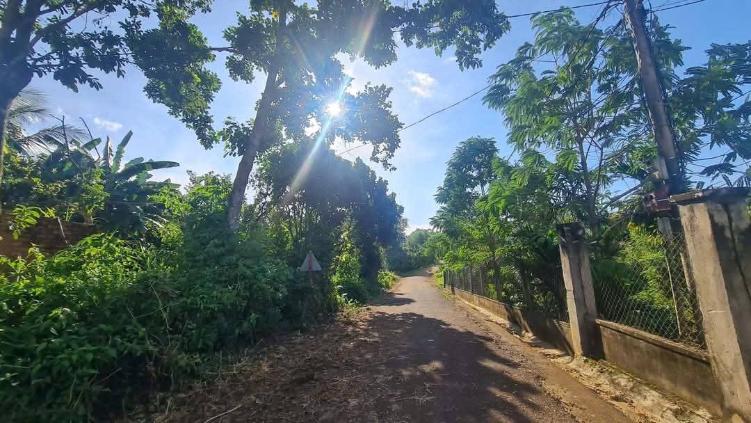 Đất nền 2 mặt tiền Komleo Tân Lập 484m² giá 2.55 tỷ - Cơ hội đầu tư sinh lời!