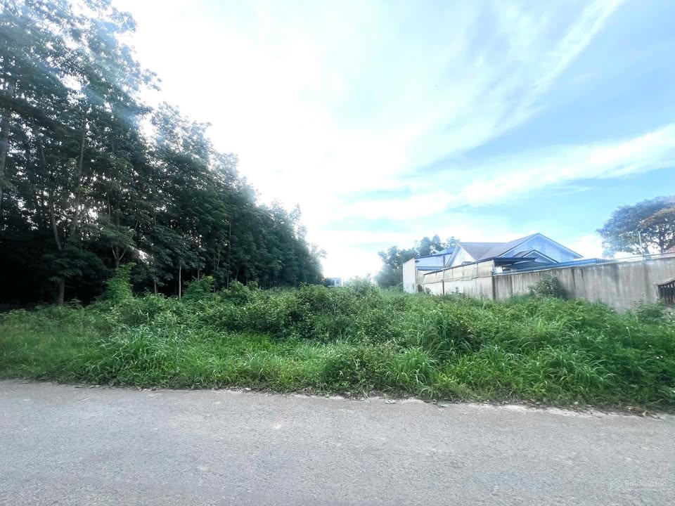 Đất trồng cây lâu năm tại Định Hòa, Thủ Dầu Một 774,3m² giá 7.5 tỷ - Đầu tư sinh lời cao!