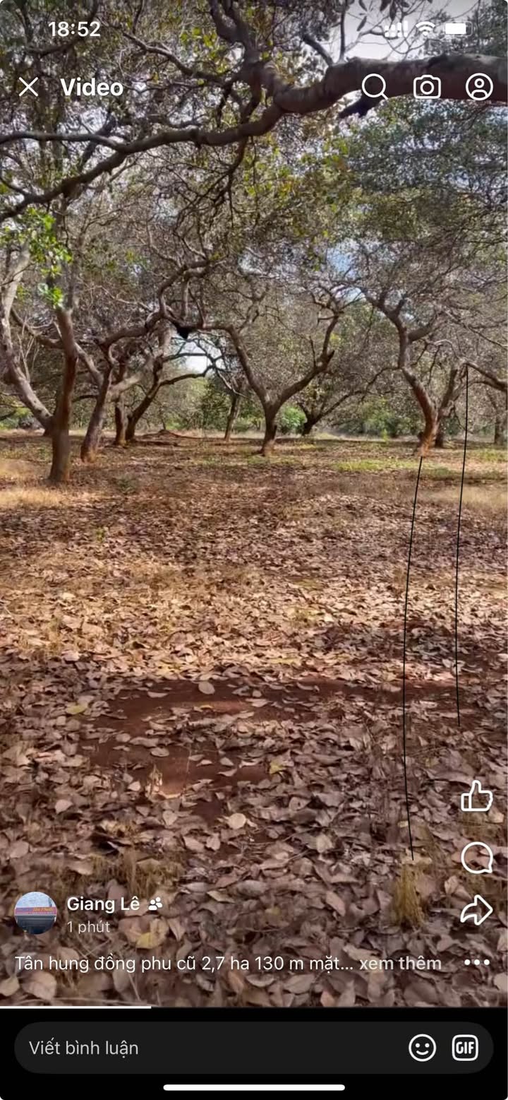 Đất nền Tân Hưng Đồng Phú 27.000m² giá 15 tỷ - Mặt tiền đẹp, đầu tư sinh lời!