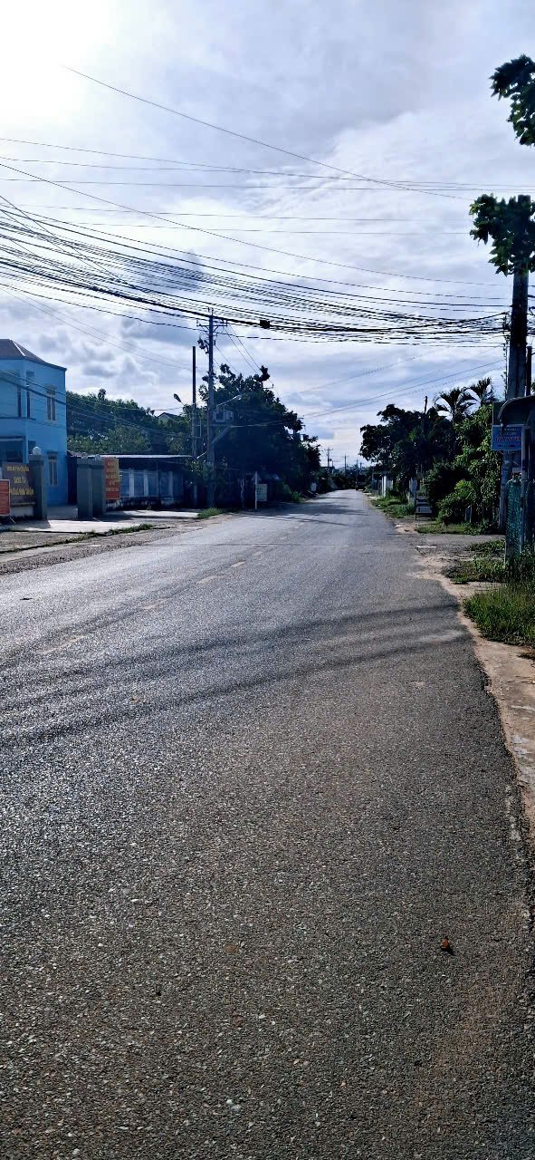 Đất cây trồng 1 sào tại Phạm Thị Tư, Phong Nẫm - Giá 5 tỷ, sổ hồng chính chủ!