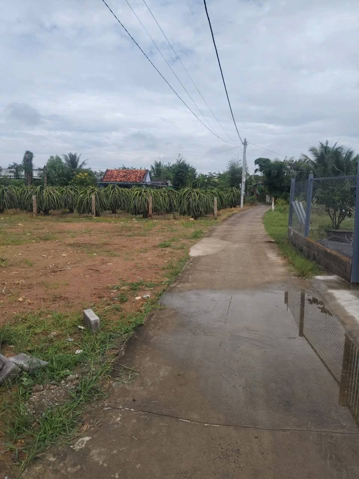 Đất thổ cư 314m² tại thôn An Phú, xã Hàm Liêm - Giá chỉ 1.5 tỷ, không thương lượng!