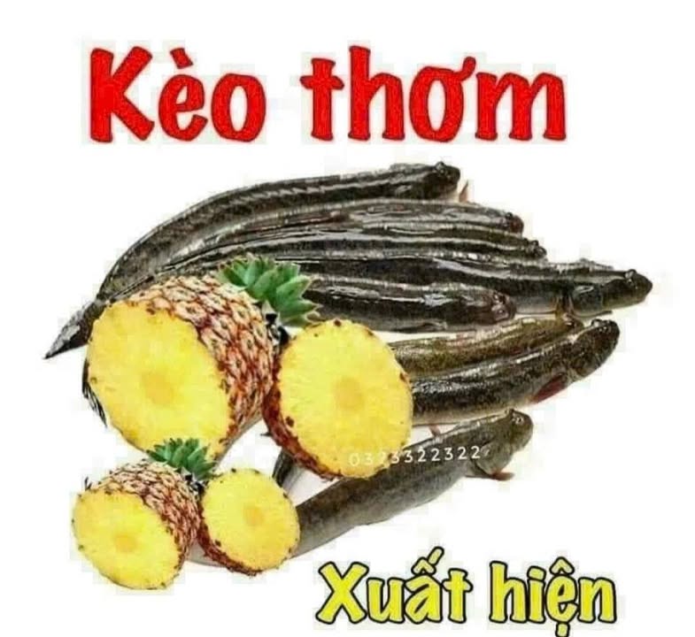 Nhà riêng Biên Hòa 56m² giá 2.45 tỷ - Bán gấp, sổ đỏ chính chủ!