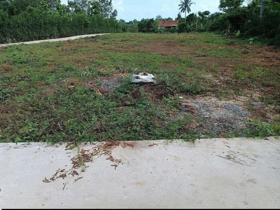 Đất nền Phú Lâm Tân Phú 115m² giá 600 triệu - Cơ hội đầu tư tuyệt vời!