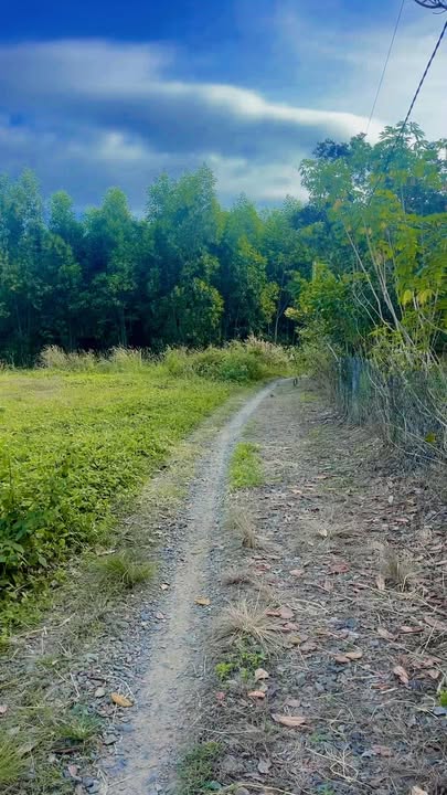 Đất nền 150m² tại Định Quán, Đồng Nai giá chỉ 390 triệu - Cơ hội đầu tư không thể bỏ qua!