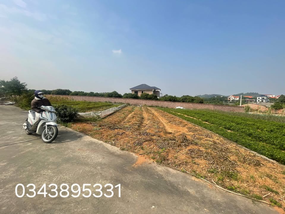 Đất thổ cư Chí Linh Hải Dương 166m² giá chỉ 1 tỷ - Mặt tiền 7,5m, đường rộng thuận tiện!