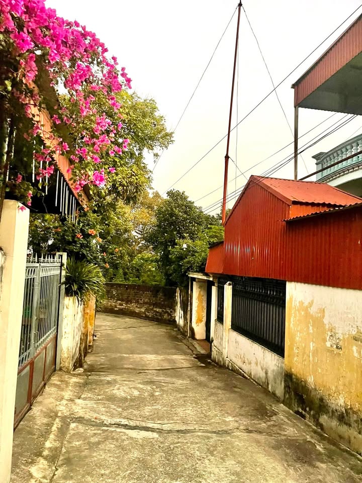 Nhà vườn 2 tầng Phả Lại, Chí Linh 233m² giá 2.2 tỷ - Không khí trong lành!