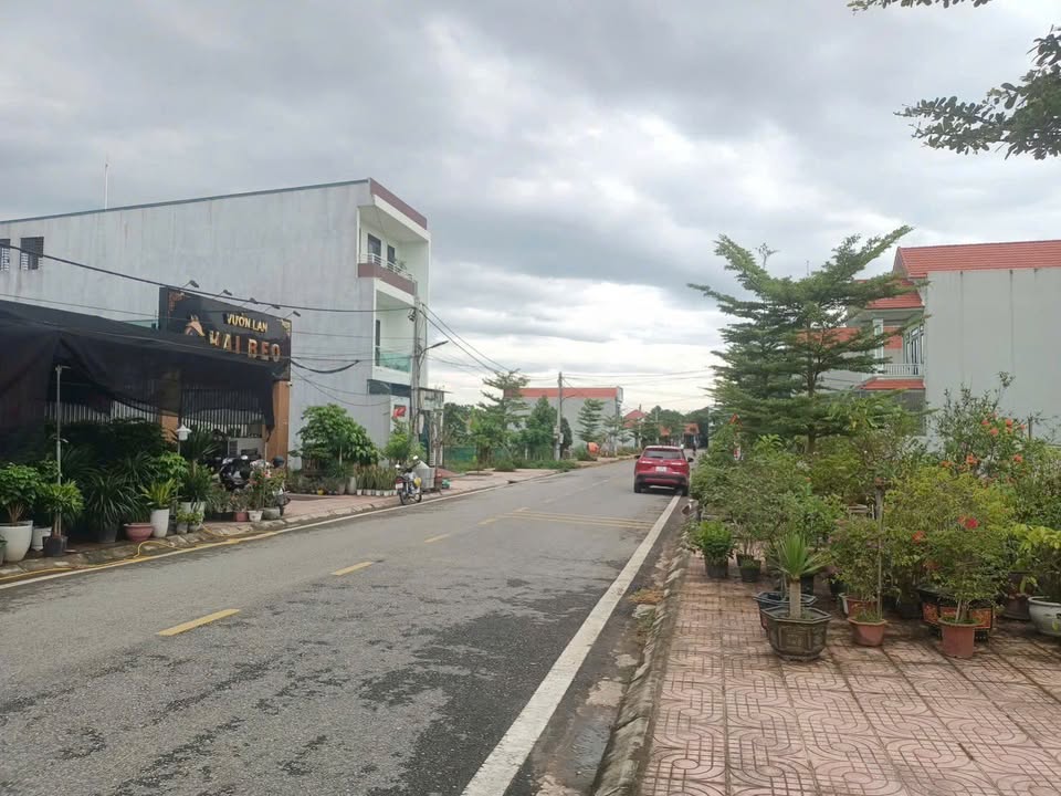 Đất nền Sơn Vi Lâm Thao 120m² giá chỉ hơn 2 tỷ - Vị trí kinh doanh đắc địa!