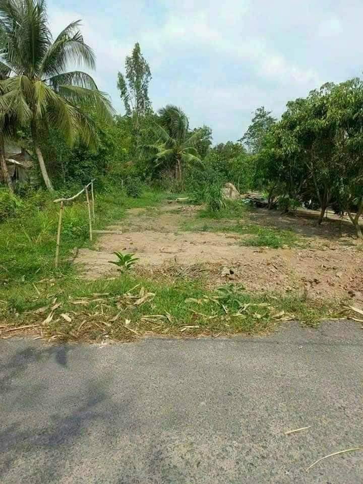 Đất nền biệt thự Thới Long, Ô Môn - Diện tích 500m², Giá chỉ 1 tỷ