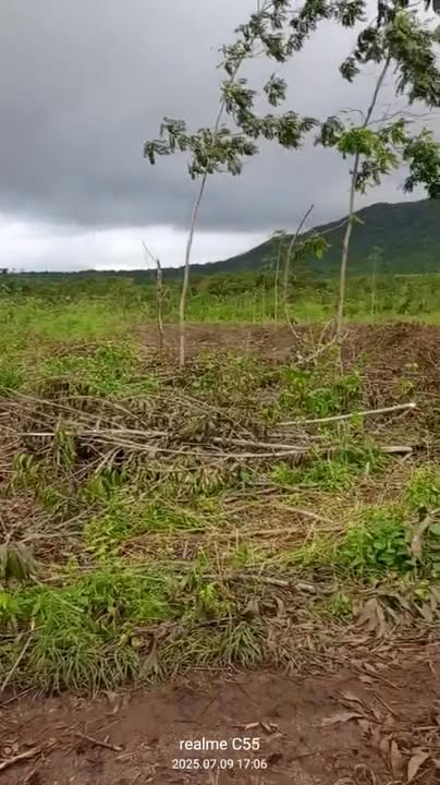 Đất rẫy 15ha tại Ia Le, Chư Pưh - Cho thuê ngắn hạn và dài hạn, giá thỏa thuận!