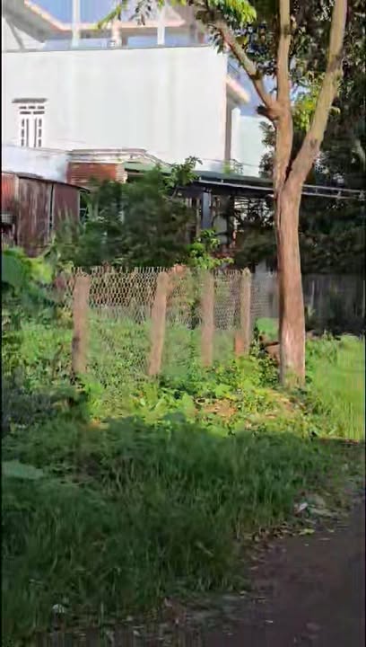 Đất nền 2 mặt tiền đường Lê Quý Đôn, thị trấn Chư Sê, 150m² - Giá 1.55 tỷ, đầu tư sinh lời!