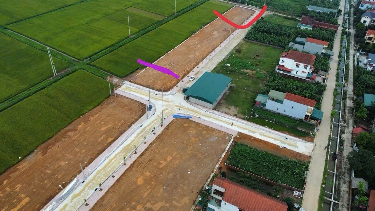 Đất đấu giá Vĩnh Lại - Lâm Thao - 150m² giá chỉ dưới 1 tỷ - Sổ đỏ chính chủ!