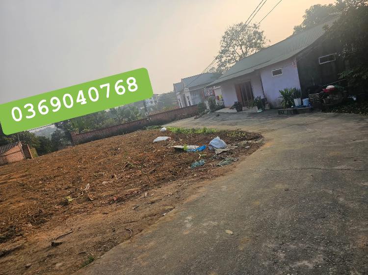 Đất nền khu phố 4, xã Hy Cương, Việt Trì, 92m² - Giá chỉ 700 triệu