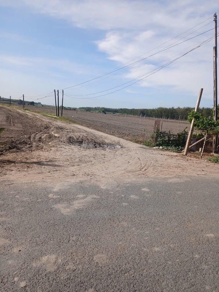 Đất nền 1000m² Tân Hội, Tân Châu chỉ 1.1 tỷ - Cơ hội đầu tư tuyệt vời!