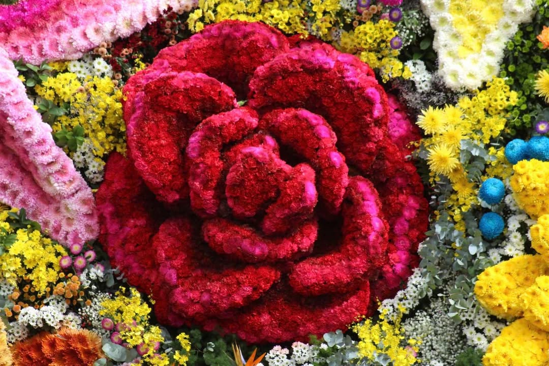 Nhà phố Đà Lạt 74m² giá 2.95 tỷ - Sổ đỏ chính chủ, hẻm ô tô gần chợ