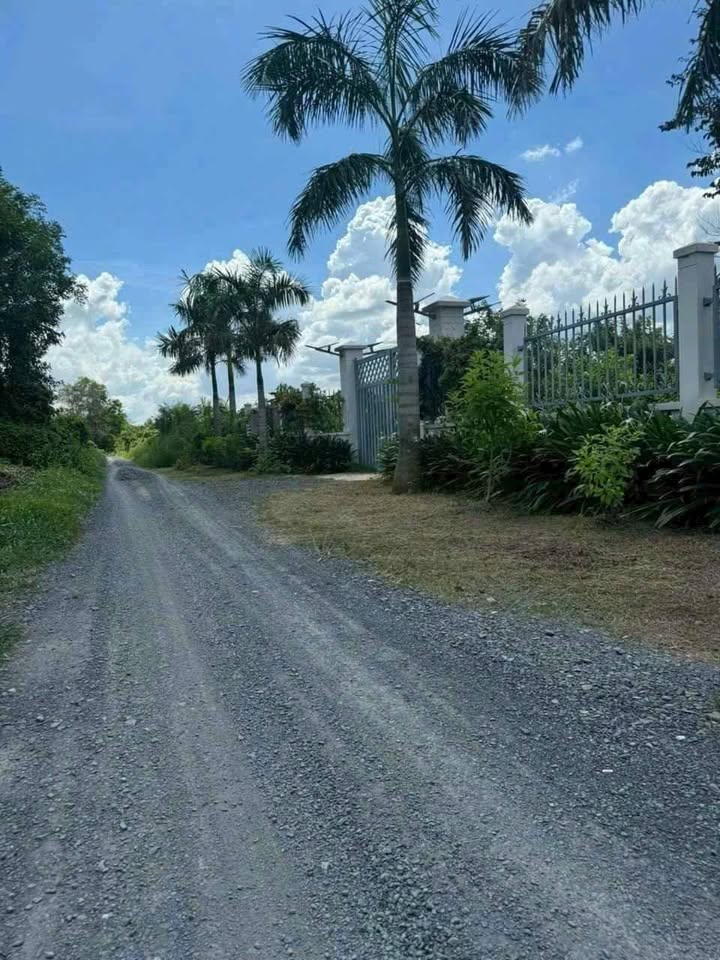 Đất vườn 1000m² Thạnh Hòa, Bến Lức, giá 1.35 tỷ - Sổ đỏ chính chủ!