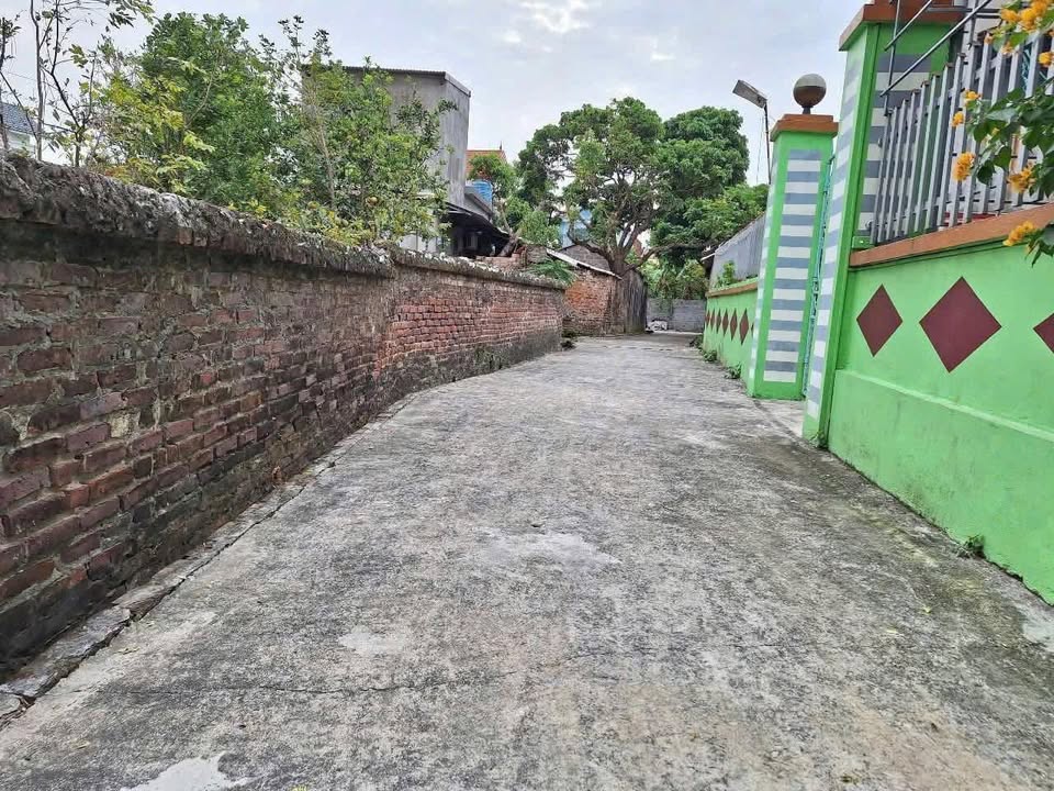 Đất thổ cư Đồng Quang, Gia Lộc 124m² giá chỉ 500 triệu - Cơ hội đầu tư hấp dẫn!