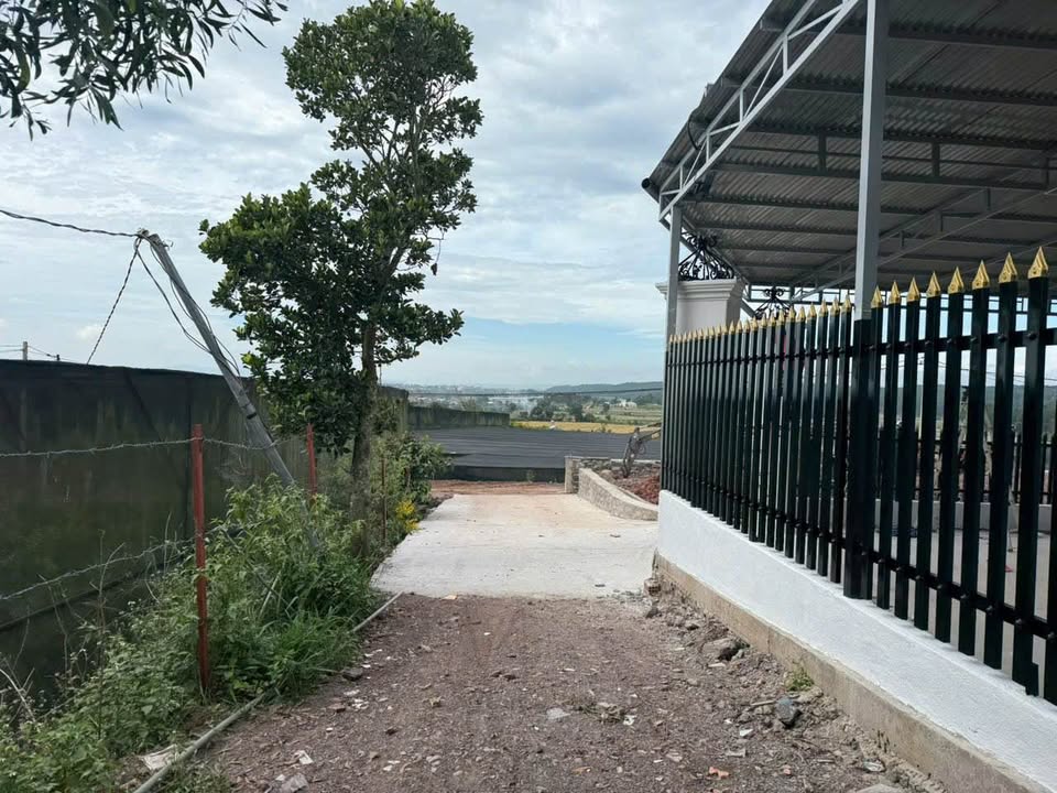 Đất nền Tân Hội 1000m² chỉ 850 triệu - Cơ hội đầu tư sinh lời!