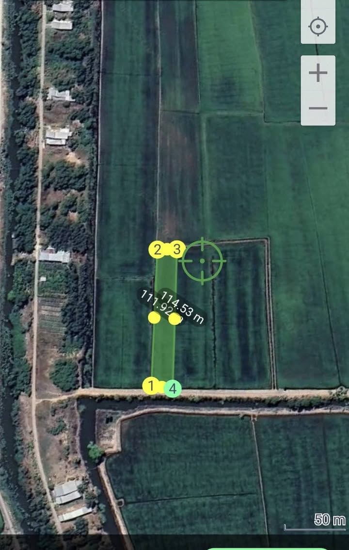 Đất nền xã Nhơn Hòa, huyện Tân Thạnh, diện tích 1000m², giá 250 triệu - Cơ hội đầu tư lý tưởng!