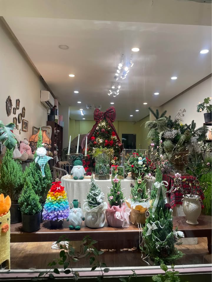 Đất thổ cư hẻm Nguyễn Văn Nghi, An Phú, 195m² giá chỉ 300 triệu - Cơ hội đầu tư tuyệt vời!