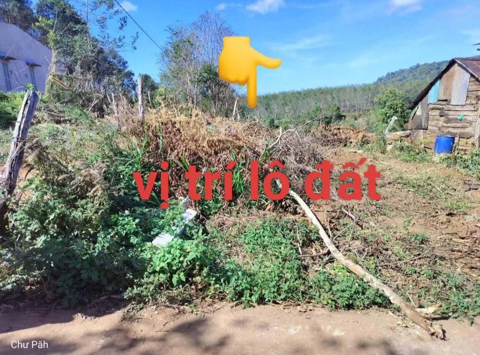 Đất ở thị trấn Phú Hòa, Chư Păh, Gia Lai 259m² - Giá thương lượng cực tốt!