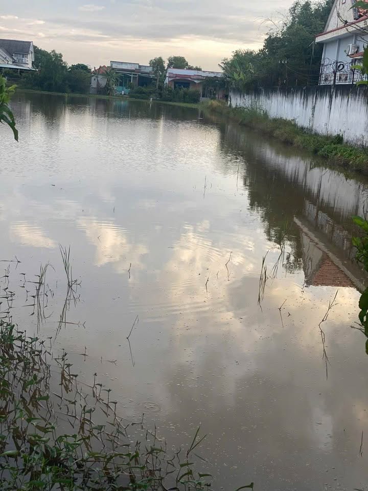 Đất Lúa 998m² tại Long An - Mặt tiền đường Bờ Đê, chỉ 2.2 tỷ thương lượng!