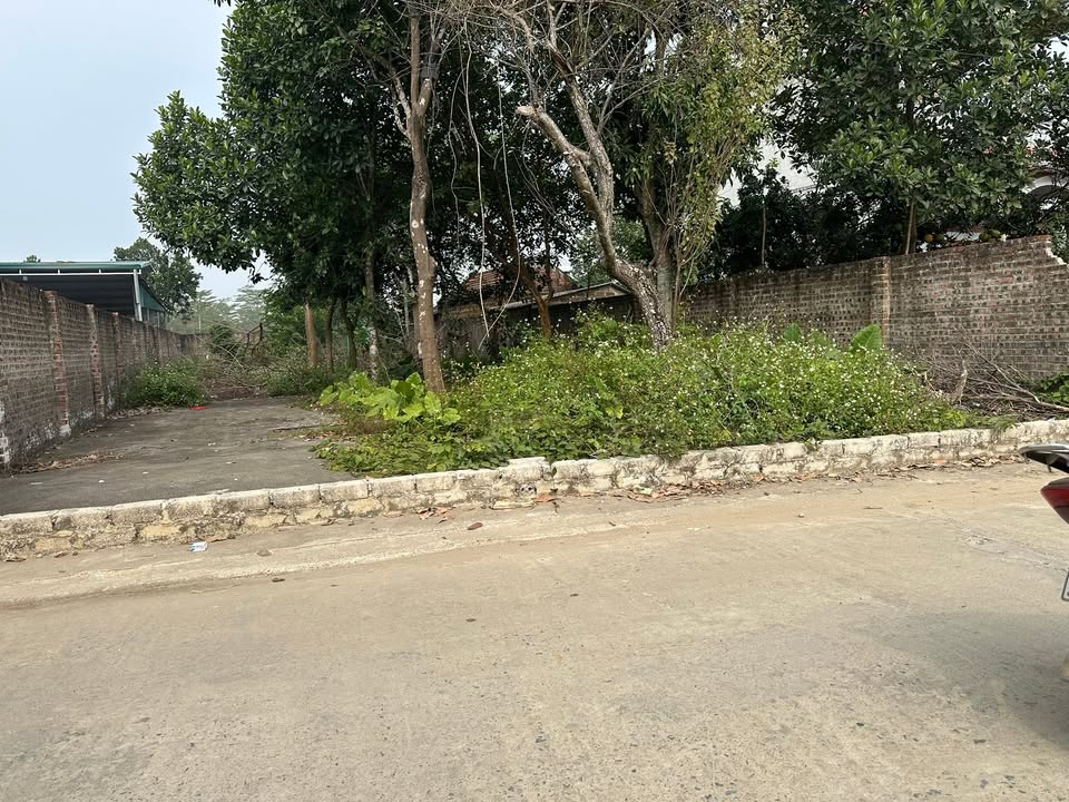 Đất nền Tân Xã, Thạch Thất 360m² giá chỉ 20 triệu/m² - Đầu tư sinh lời hấp dẫn!