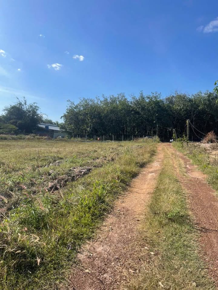 Đất nền 140m² xã Phan Dương Minh Châu giá chỉ 280 triệu - Cơ hội đầu tư tuyệt vời!