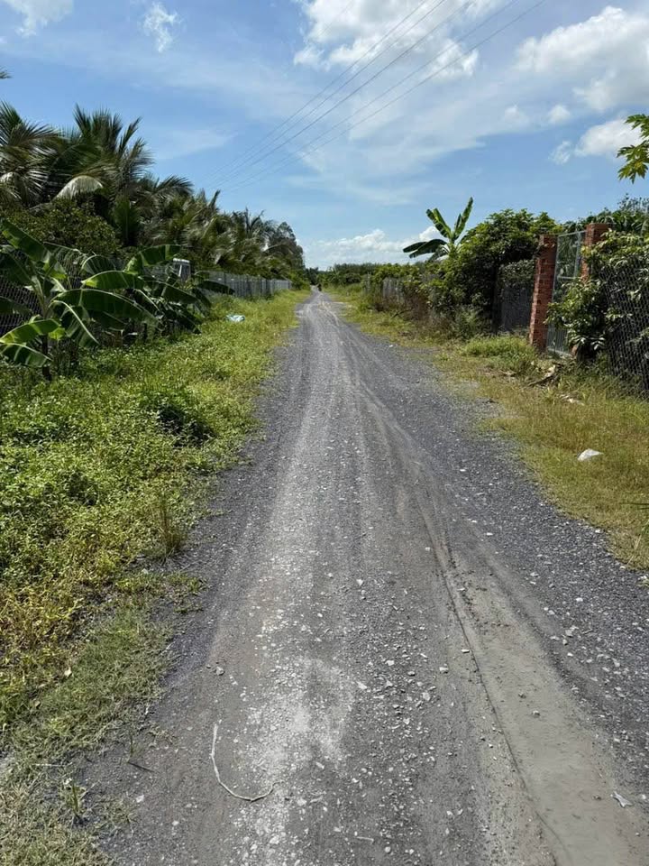 Đất mặt tiền Trường Hoà, Hòa Thành 3000m² giá 950 triệu - Cơ hội đầu tư sinh lời!