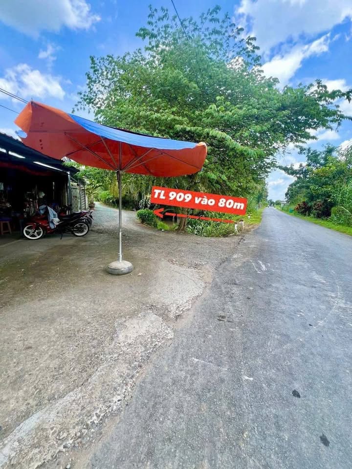 Đất thổ cư Cái Ngang, Tam Bình, Vĩnh Long 100m² giá 199 triệu - Đường ô tô vào tận nơi!