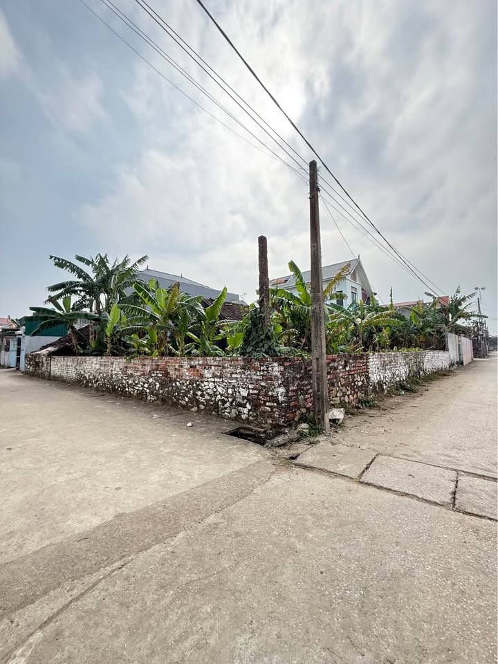 Đất thổ cư Thiệu Thịnh 310m² giá 3.x tỷ - Đầu tư sinh lời ngay!