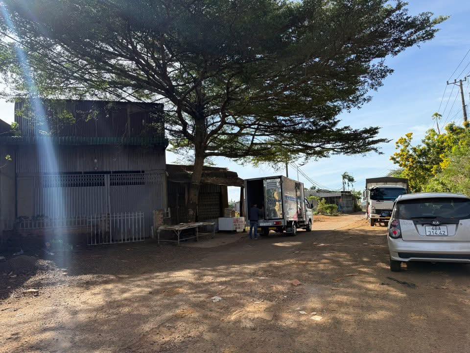 Nhà cấp 4 ngay Cổng Chào Thôn 11 Nhân Cơ 391m² giá 2 tỷ - Kinh doanh thuận lợi!