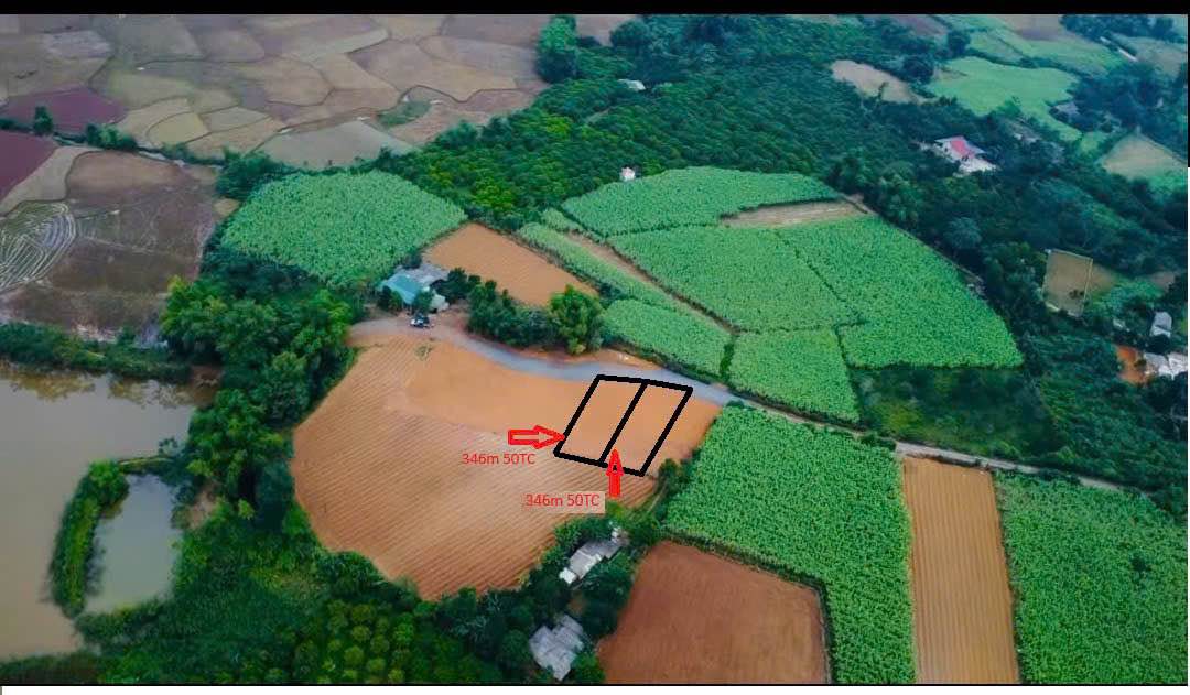 Đất nền Mỹ Hòa - Tân Lạc, Hòa Bình 346m² giá 200 triệu - Đầu tư sinh lời ngay!