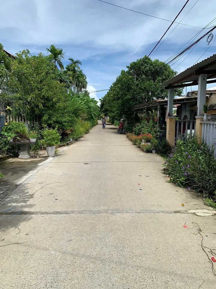 Đất nền Cẩm Châu 100m² giá thương lượng - Khu dân cư đông đúc, ô tô vào tận nơi!