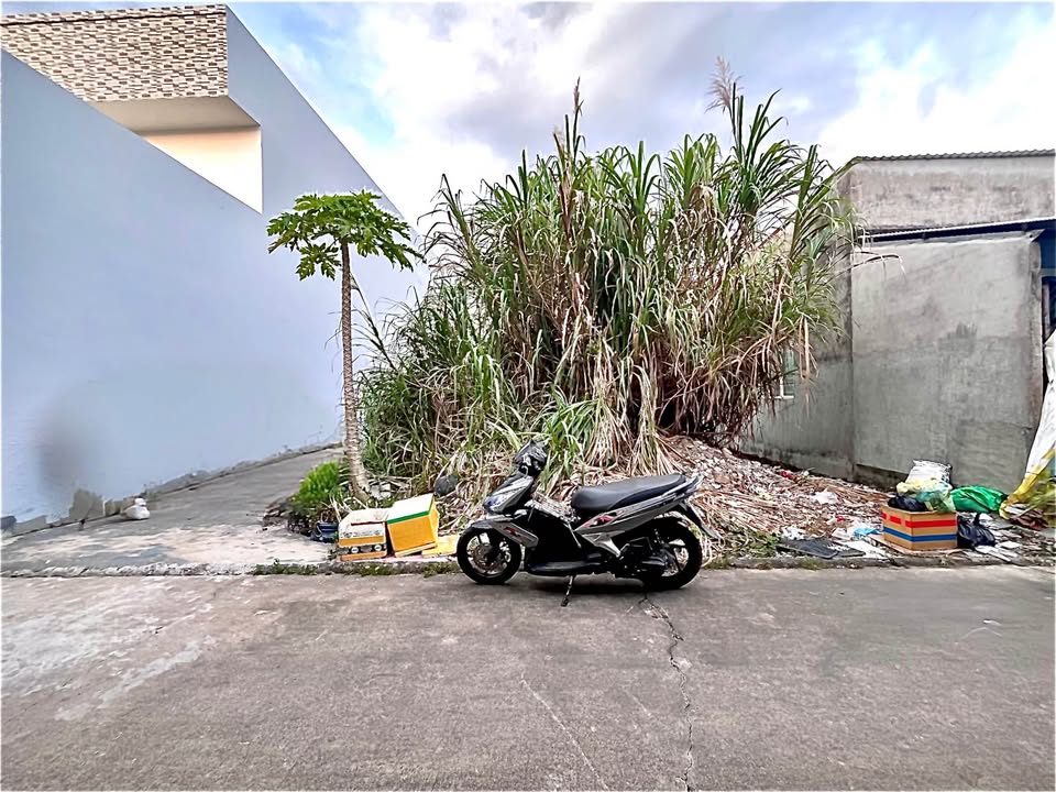 Cặp Nền Đất KDC 923 Lộ Vòng Cung, An Bình 84m² - Giá Chỉ 1.75 Tỷ