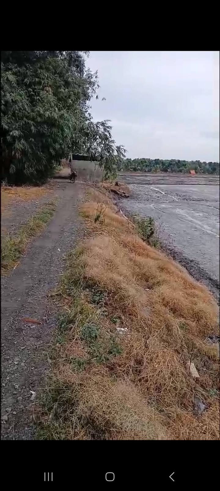 Đất nền Vĩnh Nhuận Châu Thành An Giang 10.000m² giá chỉ 1.6 tỷ - Đường ô tô vào tận nơi!