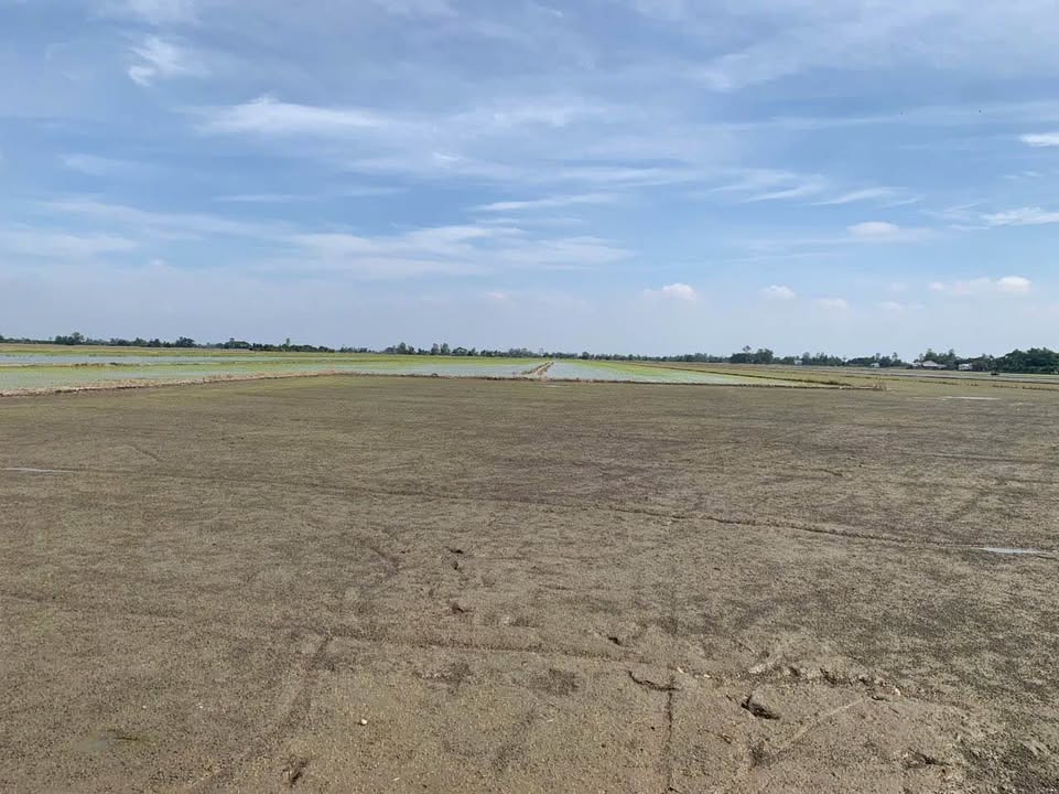 Đất nền đẹp 108 công tại Mỹ Phú Đông, Thoại Sơn - Giá chỉ 16.2 tỷ VND!