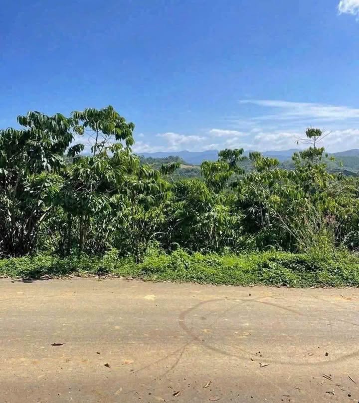 Đất thổ cư 100m² Tân Lạc, Bảo Lâm - Mặt tiền 60m, chỉ 1.8 tỷ!