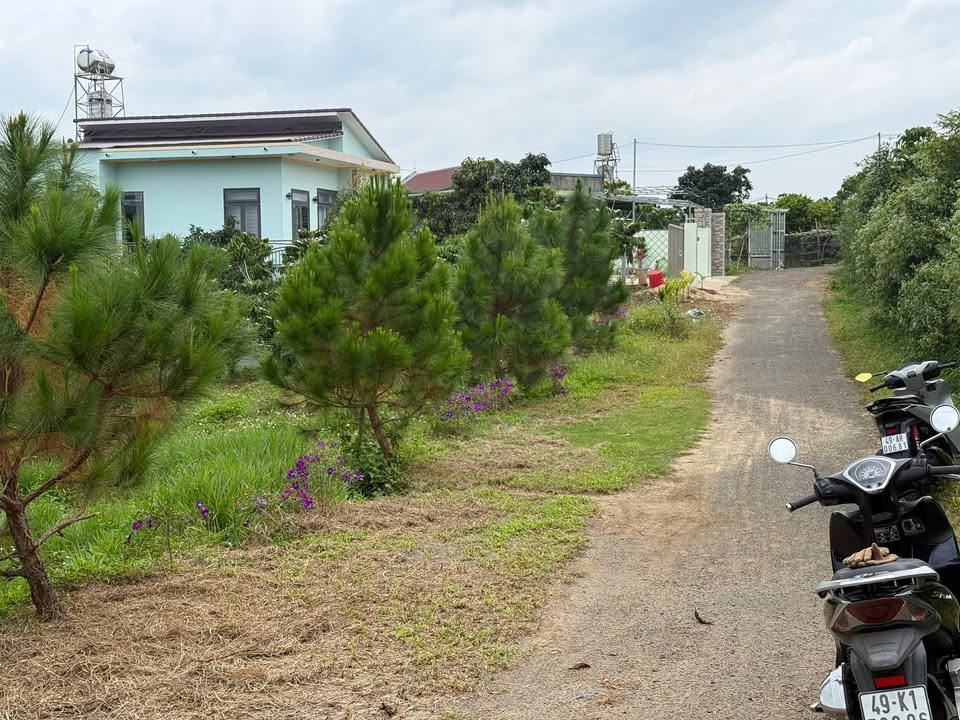 Đất thổ cư Bảo Lâm 550m² giá 989 triệu - Cần bán gấp!