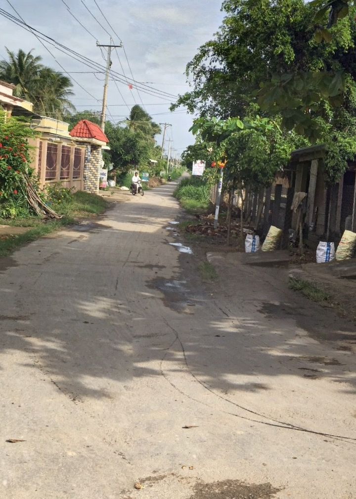 Đất mặt tiền nhựa An Hiệp, Ba Tri, Bến Tre 2173m² - Giá chỉ 35 triệu/m², cơ hội đầu tư tuyệt vời!