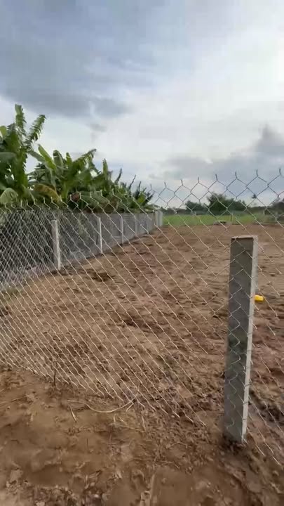 Đất Lúa 1336m² Sổ Hồng Riêng Khu Dân Cư Ổn Định tại Mỹ Lộc - Giá Chỉ 1.1 Tỷ!