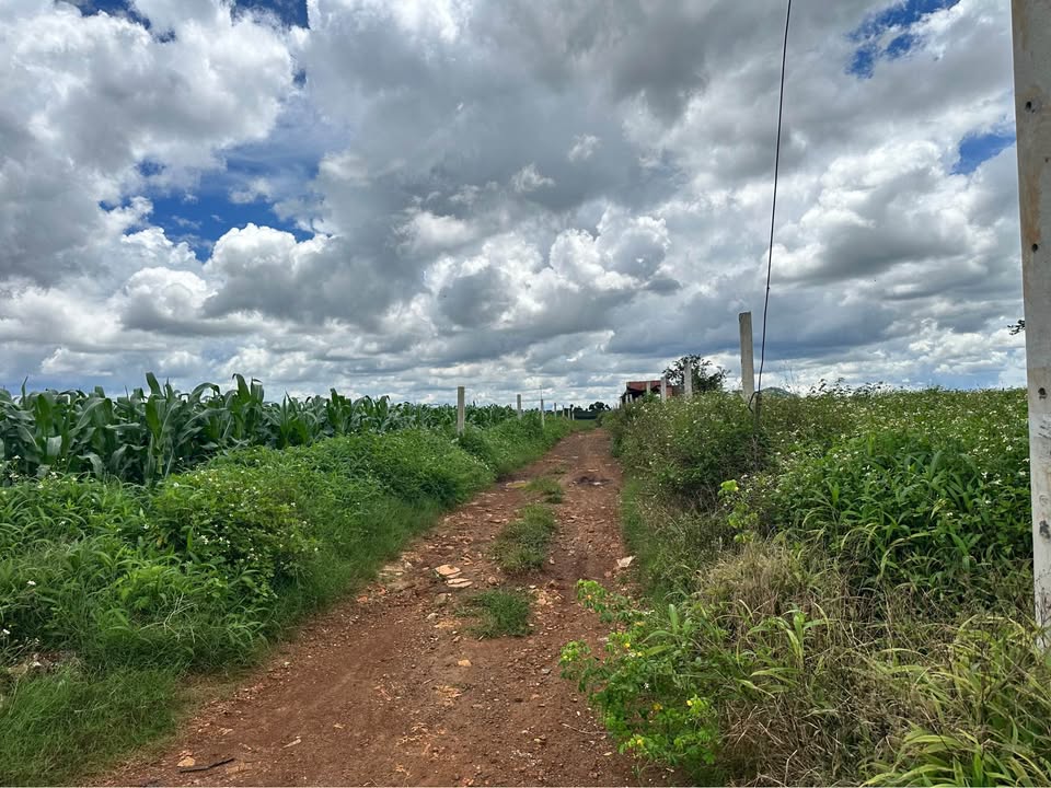 Đất nền mặt tiền đường DH1, Đức Trọng, 1470m² giá 21 tỷ - Cơ hội đầu tư sinh lời!