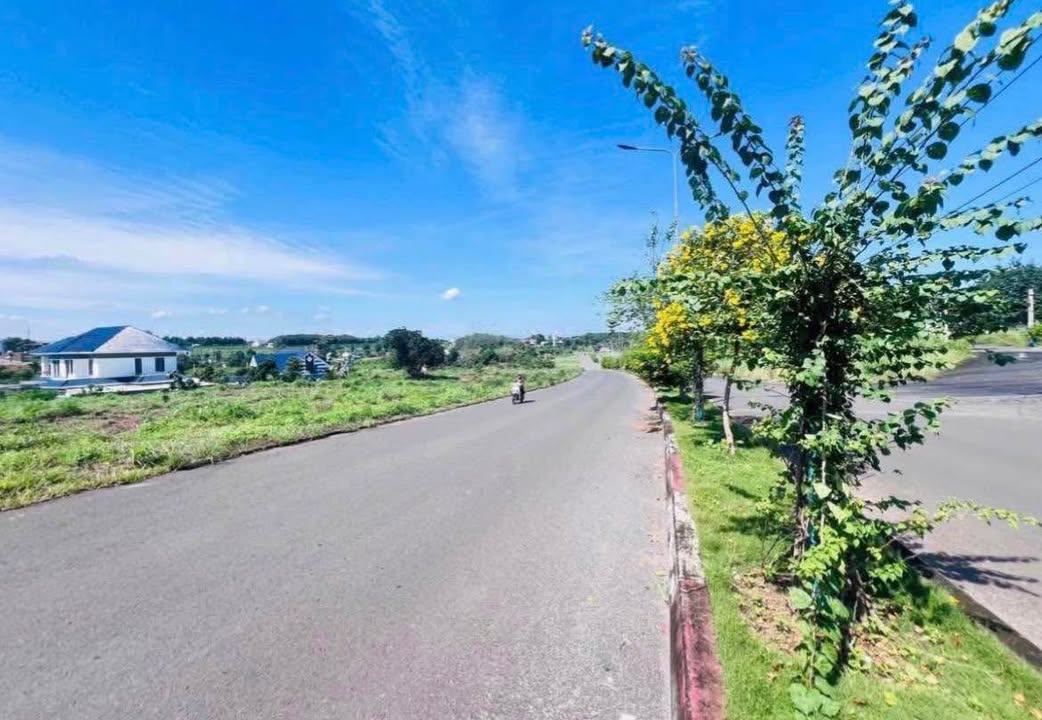 Đất mặt tiền 32m Tân Bình, 750m² - Cơ hội đầu tư tuyệt vời!