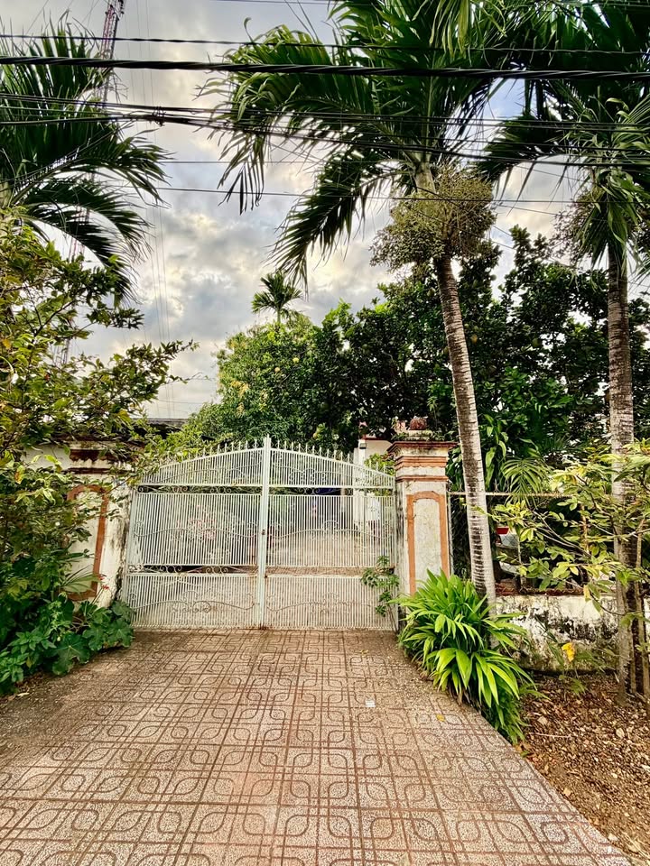 Đất hẻm 113 Lý Thường Kiệt, Tân Phú 200m² giá 1.5 tỷ - Cơ hội đầu tư tuyệt vời!