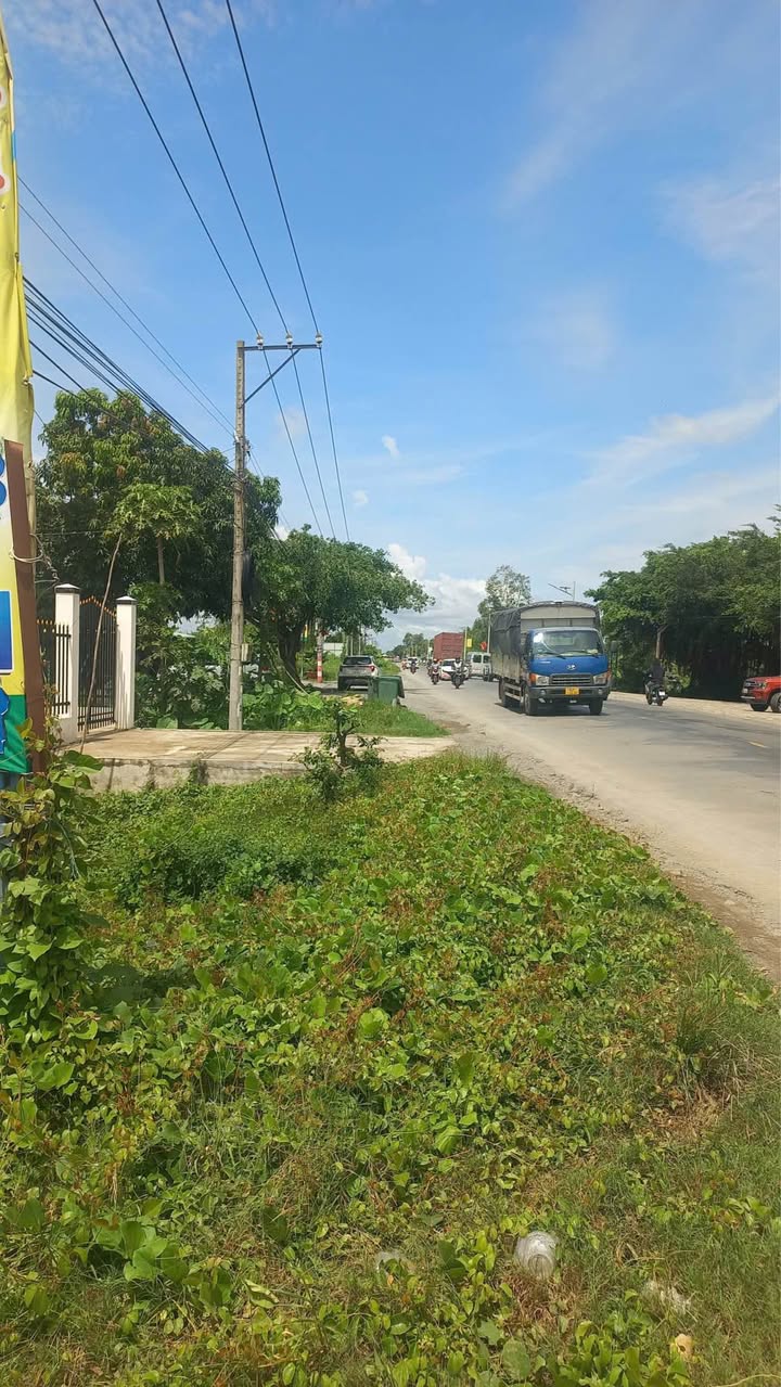 Đất thổ cư mặt tiền Quốc Lộ 62, Thạnh Hóa, 1178m² giá 8.5 tỷ - Đầu tư sinh lời!