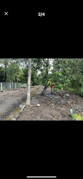 Đất vườn An Sơn 724m² giá 10.136 tỷ - Mặt tiền nhựa, gần sông Sài Gòn!